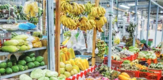 Iloilo dominates WV agricultural production; Province leads in 11 of 12 major crops