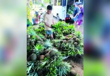 Philippine output boosts global pineapple trade The Philippines is the world’s second-largest exporter of pineapples for three consecutive years, holding a 22-percent market share. JEFFREY T. AMOR/FACEBOOK PHOTO