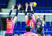 Van Sickle sparks Chameleons sweep of High Speed Hitters Brooke Van Sickle delivers an impressive comeback performance, powering the Nxled Chameleons to a straight-sets victory over the PLDT High Speed Hitters in their PVL All-Filipino Conference opener. PVL