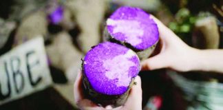 P300-M budget sought for ube production expansion Ube is offered for sale at the Balintawak Market in Quezon City. The Department of Agriculture says 10 ube varieties have been identified for large-scale production. JESSICA BARTOLOME/ GMA NEWS FILE PHOTO